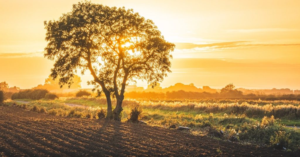 get your fields ready - after that build your house