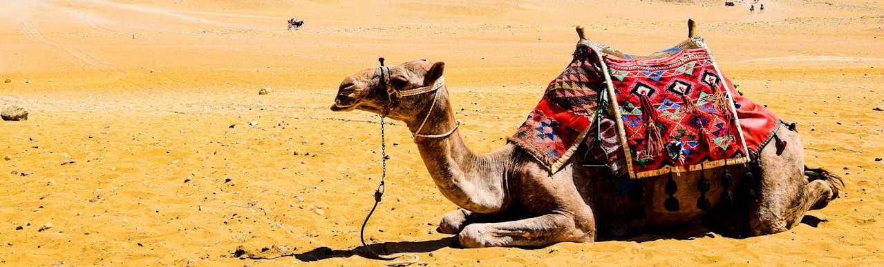 Easier for a camel to go through the eye of a needle